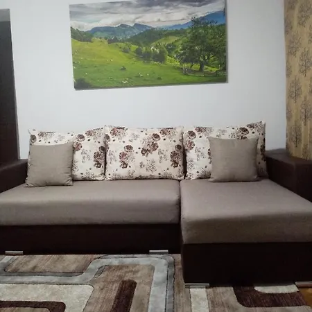 Apartment Rustic Brasov